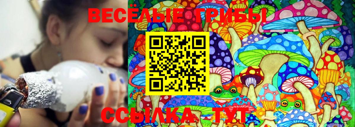 Заволжье  Псилоцибиновые грибы Cubensis  дарнет шоп  Вход с VPN 